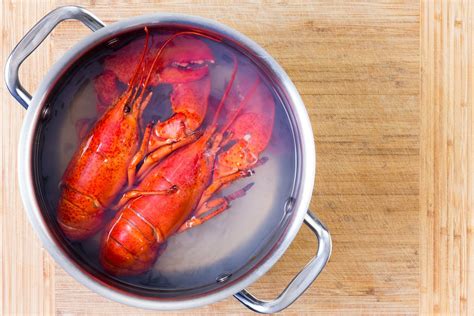 low-fat-lobster-bisque-pasta-on-the-floor image