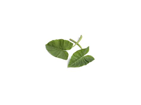 taro-leaf-and-chicken-soup-jungle-jims-international image