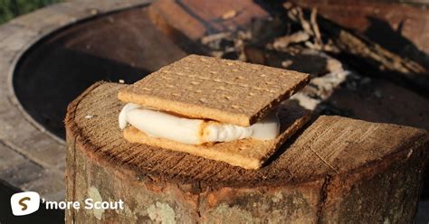 campfire-smores-recipe-smore-scout image