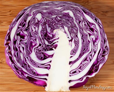 red-cabbage-smoothie-purple-joy-of-blending image