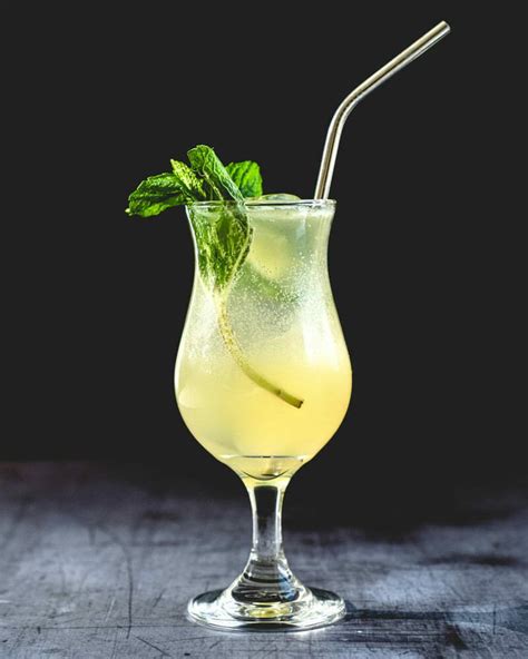 10-fresh-mint-cocktails-a-couple-cooks image