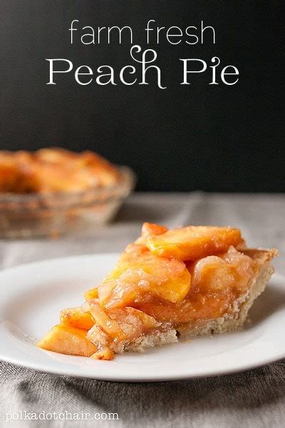 delicious-farm-fresh-peach-pie-recipe-the-polka-dot-chair image