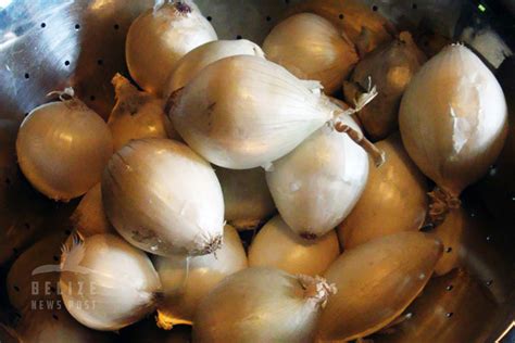 escabeche-belizean-onion-soup-recipe-belize-news image