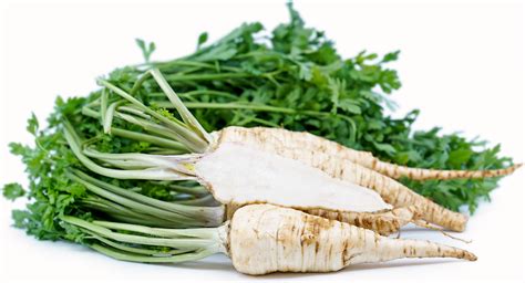 parsley-root-information-recipes-and-facts-specialty image