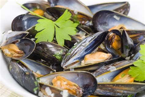 moules-la-crme-normande-traditional-mussel-dish image