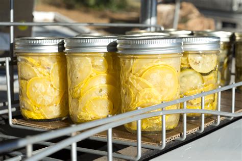 recipe-for-summer-squash-pickles-almanaccom image