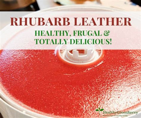 homemade-fruit-leather-made-from-rhubarb image