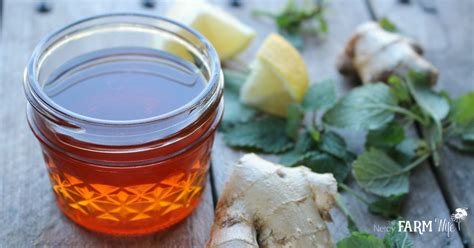ginger-lemon-balm-honey-syrup-for-colds-flu-the image