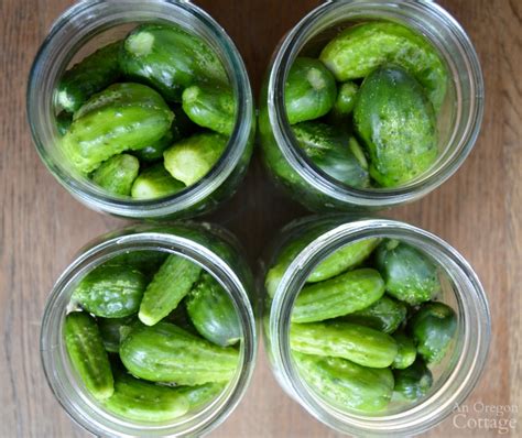 easy-garlic-dill-pickles-no-canning-needed-an image