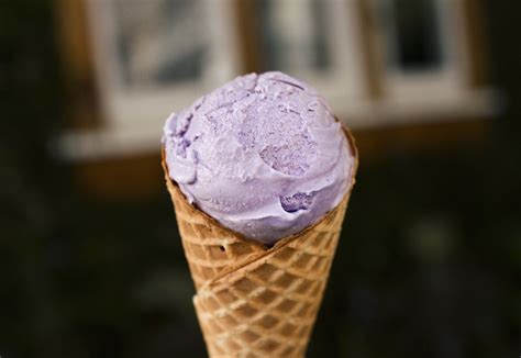 lavender-honey-ice-cream-recipe-the-spruce-eats image