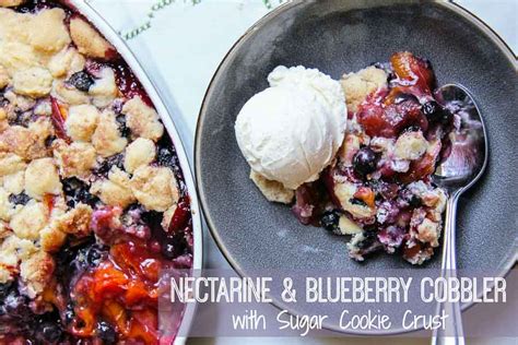 nectarine-blueberry-cobbler-with-sugar-cookie-crust image