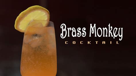 how-to-make-brass-monkey-cocktail-recipe-by image