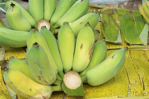 nutrition-information-for-baby-bananas-healthfully image