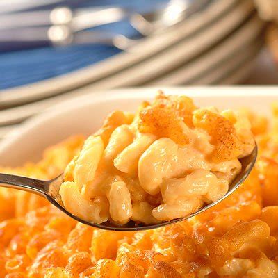macaroni-cheese-for-a-crowd-very-best-baking image