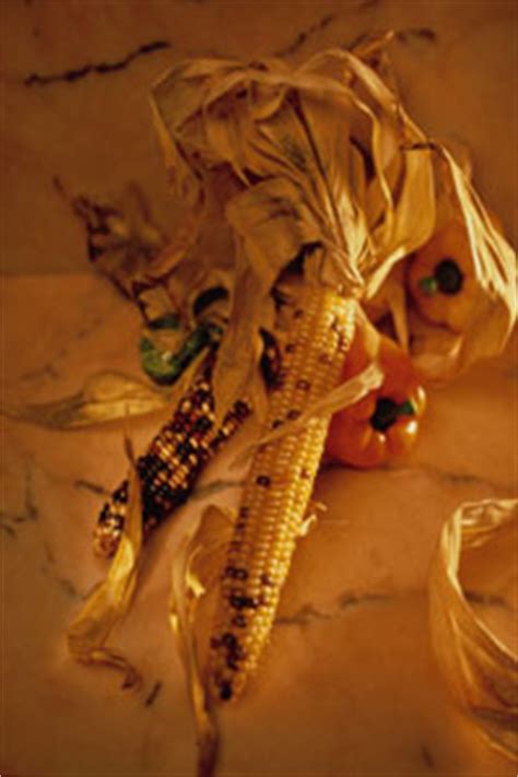 everything-you-ever-wanted-to-know-about-indian-corn image