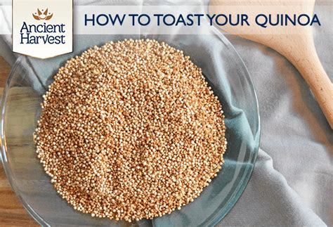 how-to-properly-toast-quinoa-ancient-harvest image