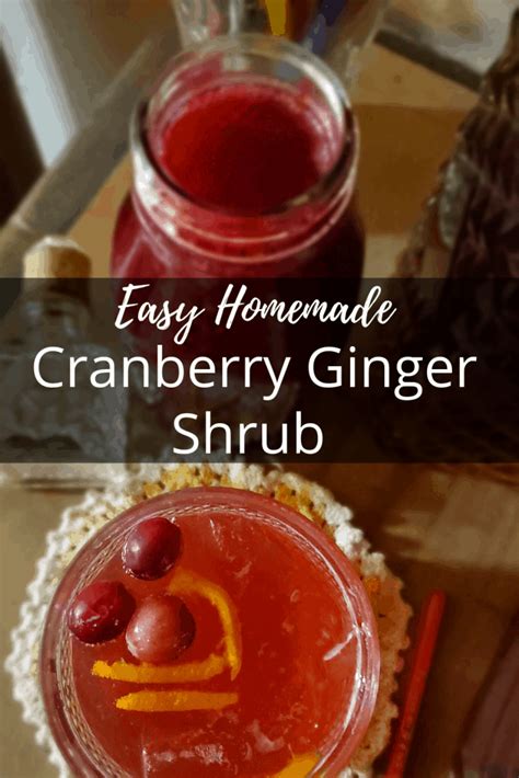 cranberry-ginger-shrub-recipe-a-farm-girl-in-the image