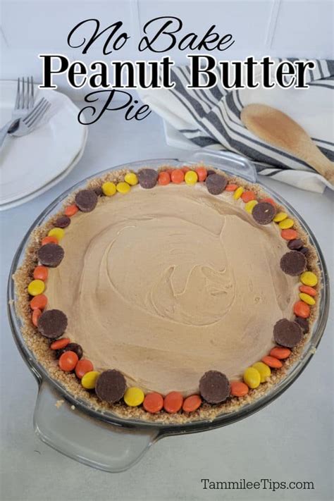 no-bake-peanut-butter-pie-tammilee-tips image