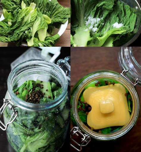 pickled-mustard-green-recipe-酸菜-china-sichuan image
