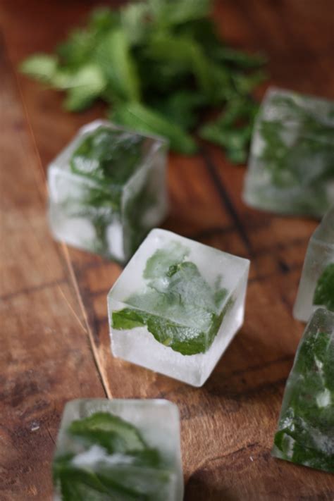 how-to-mint-infused-ice-cubes-17-apart image