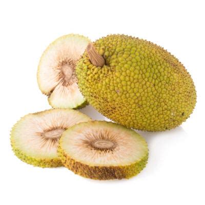 seeds-and-breadfruit-varieties-learn-about-breadfruit image