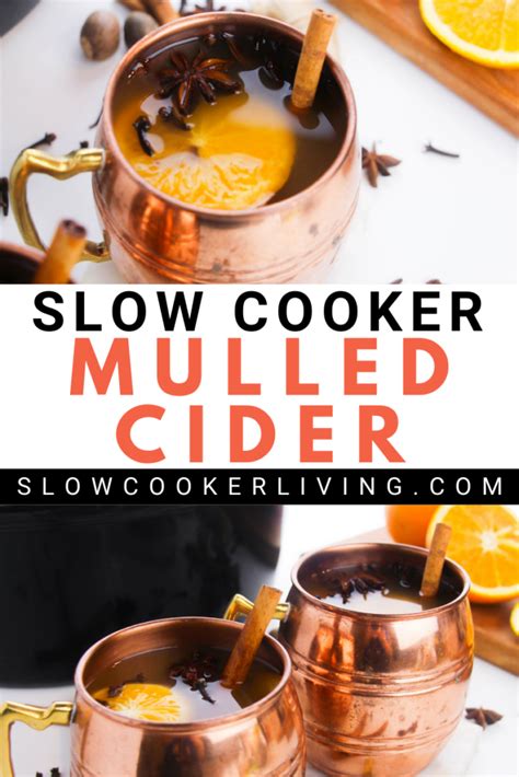 mulled-cider-in-a-slowcooker-slow-cooker-living image