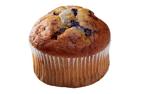 wild-blueberry-muffins-muffin-fundraisers-otis image