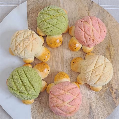 colorful-and-cute-japanese-turtle-melon-pan image