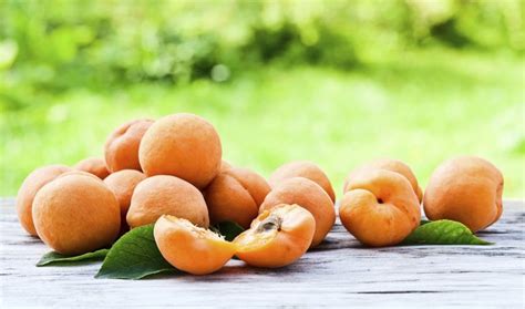 3-tasty-ways-to-cook-fresh-apricots-livestrong image