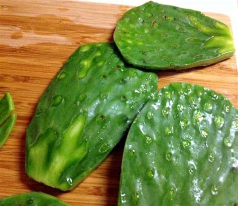 ensalada-de-nopales-authentic-mexican-cactus-leaves image