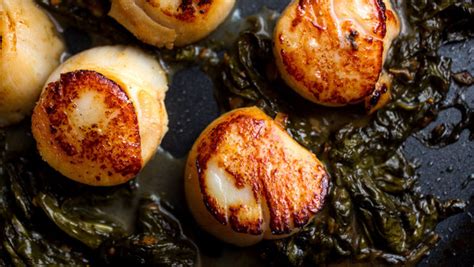 scallops-with-sorrel-butter-the-new-york-times image