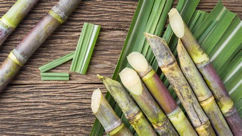 cooking-with-sugarcane-uses-health-benefits-and image