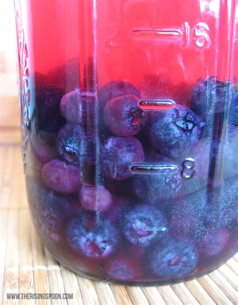 how-to-make-blueberry-vodka-at-home-in-as-little-as image