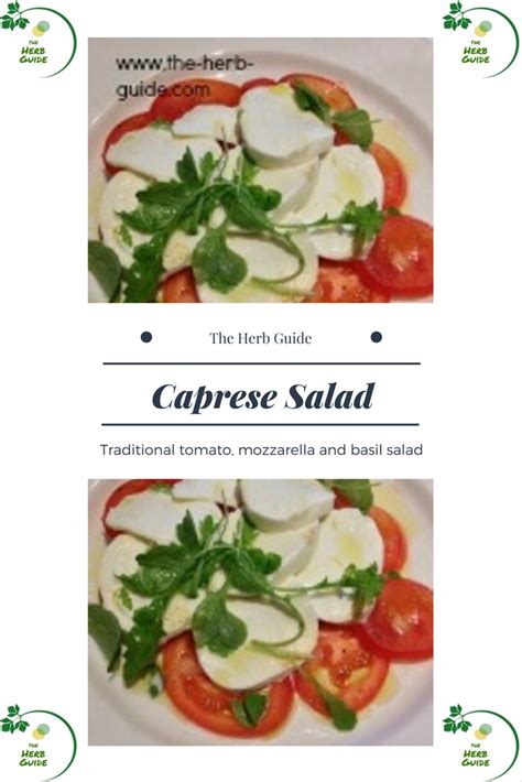 tomato-and-basil-salad-the-herb-guidecom image