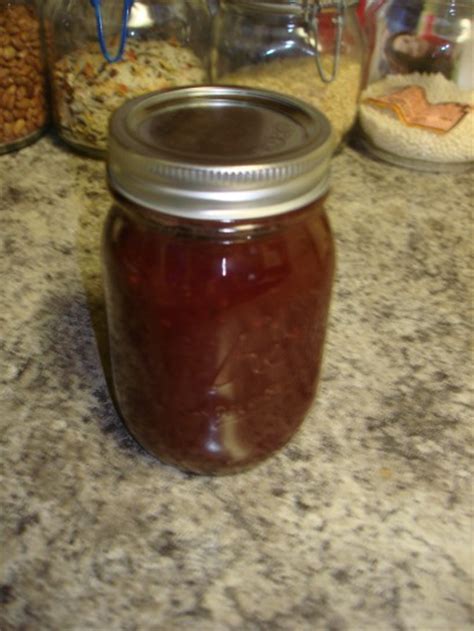 plum-chipotle-sauce-tasty-kitchen image