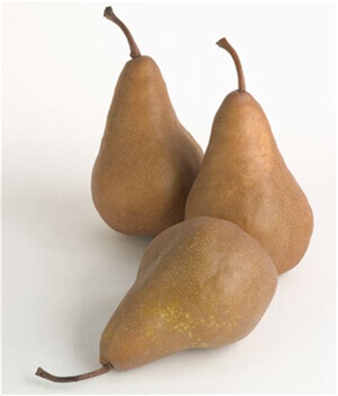 champagne-pears-usa-pears image