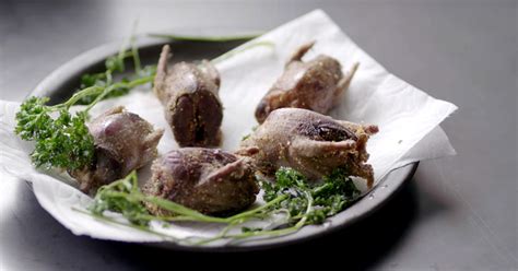 fried-whole-mourning-doves-meateater-cook image