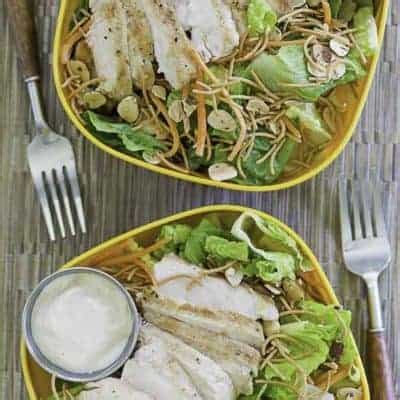 applebees-grilled-oriental-chicken-salad-copykat image