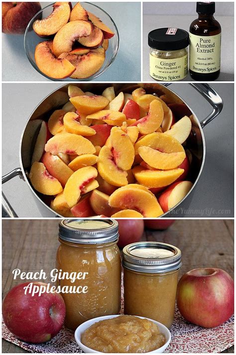 fruit-and-spice-applesauce-blends-slow-cooker-or-stove image