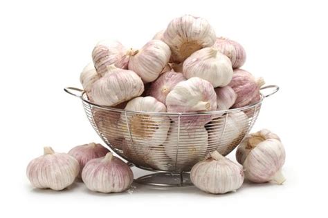 how-to-store-garlic-recipes-dinners-and-easy-meal image