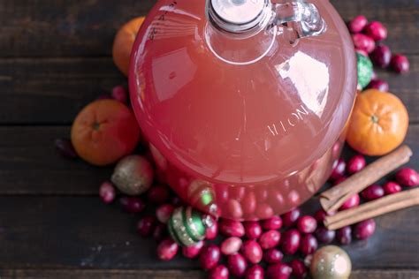 sparkling-cranberry-orange-christmas-cider-its-so-easy image