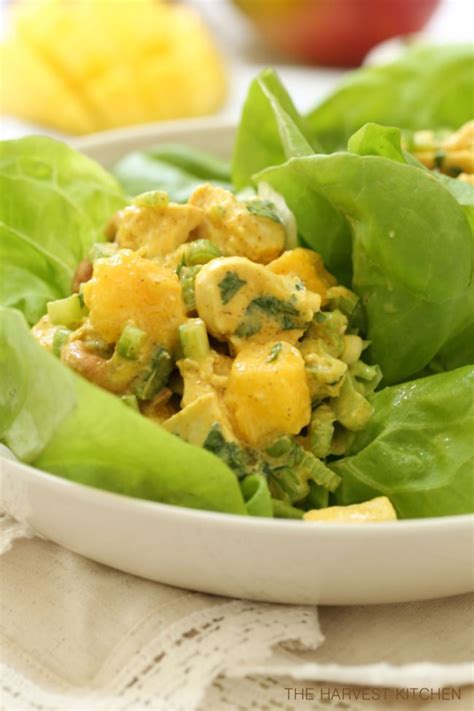 lighter-curried-chicken-salad-with-mango-the image