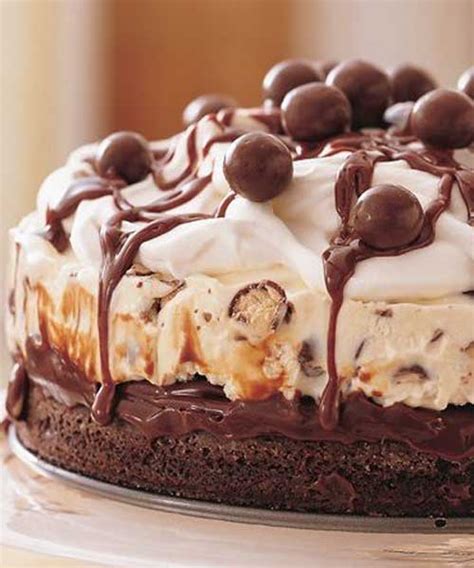 chocolate-malt-ice-cream-cake-recipe-flavorite image