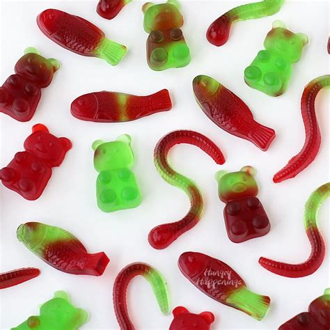 how-to-make-gummy-candy-bears-worms-fish image