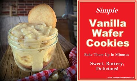 simple-vanilla-wafer-cookie-recipe-texas-homesteader image