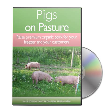 raising-pigs-in-the-garden-benefits-both-new-terra image