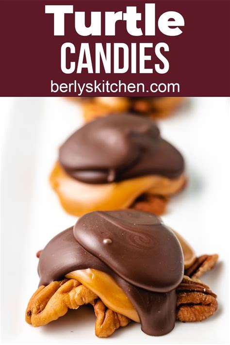 turtle-candies-berlys-kitchen image