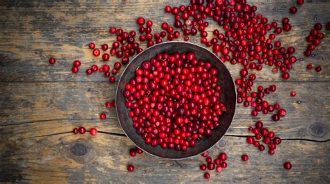 14-impressive-health-benefits-of-lingonberries image