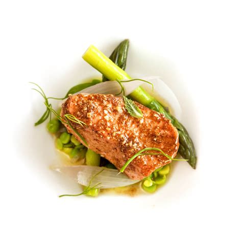 sous-vide-salmon-in-the-kitchen-sink-modernist-cuisine image