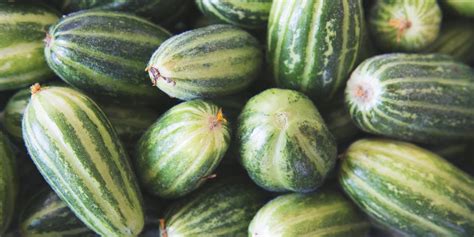 courgette-recipes-great-italian-chefs image